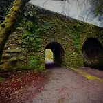Murphys Thatched Holiday home Mitchelstown