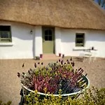 Murphys Thatched *