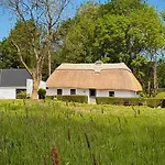 Murphys Thatched * Mitchelstown