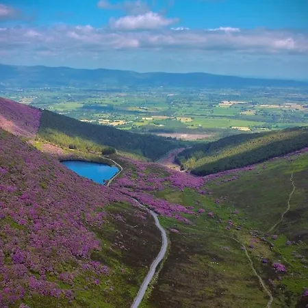 Murphys Thatched * Mitchelstown
