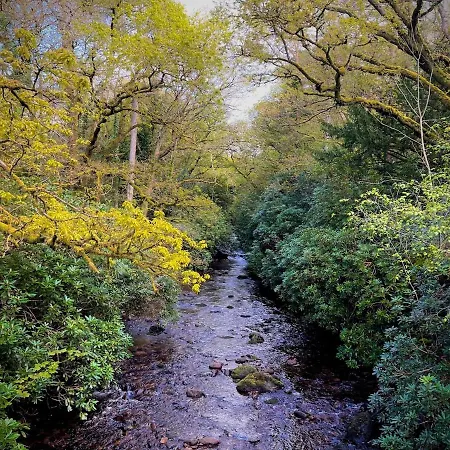 בית נופש Murphys Thatched מיטשלסטאון