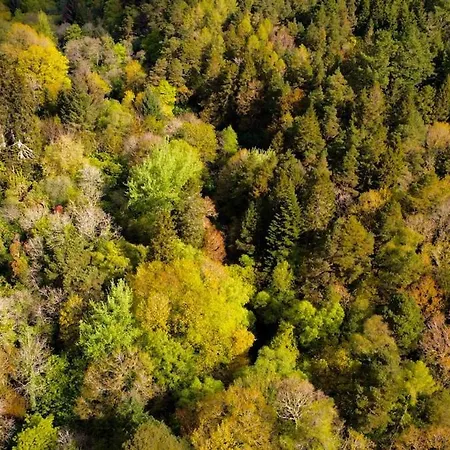 בית נופש Murphys Thatched