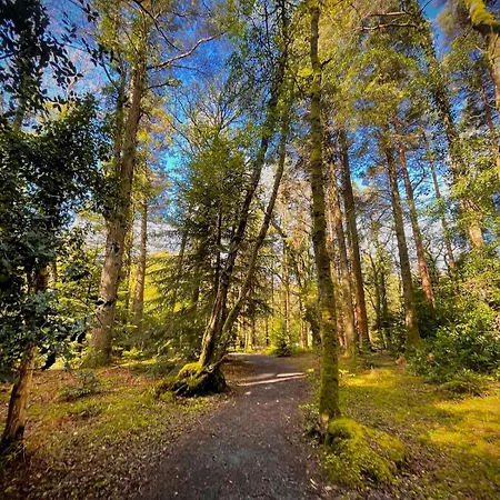 Murphys Thatched בית נופש מיטשלסטאון