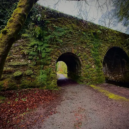 Murphys Thatched Dom wakacyjny Mitchelstown