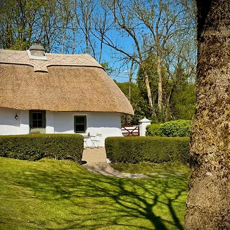 בית נופש Murphys Thatched *