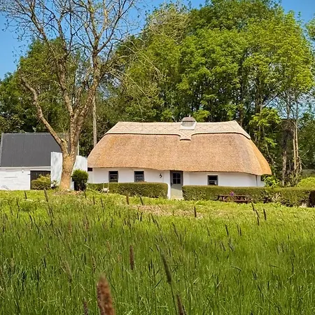 Murphys Thatched * מיטשלסטאון