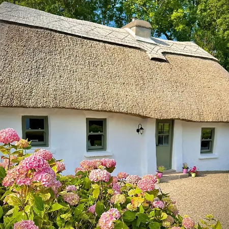 Murphys Thatched *