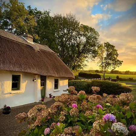 Murphys Thatched Mitchelstown
