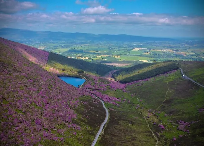 Murphys Thatched * Mitchelstown