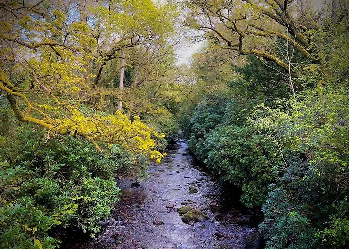 Feriehus Murphys Thatched Mitchelstown
