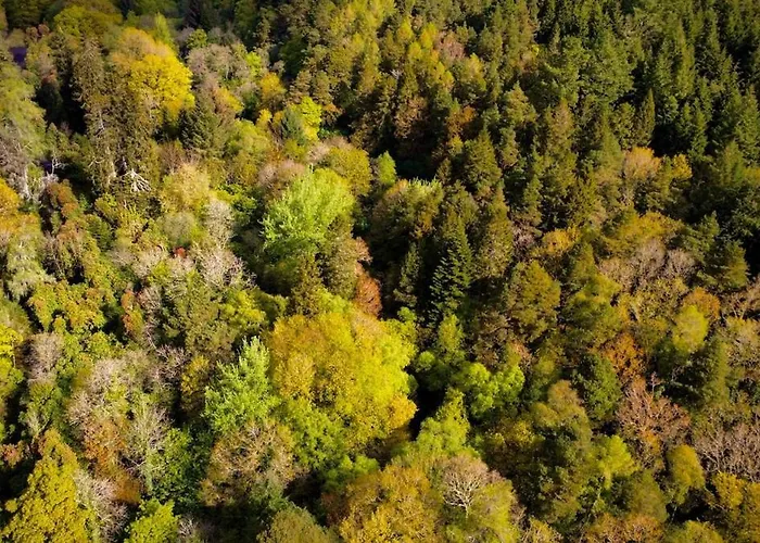 Tatil Evi Murphys Thatched