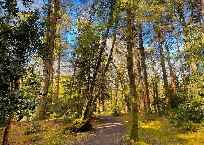 Murphys Thatched Tatil Evi Mitchelstown