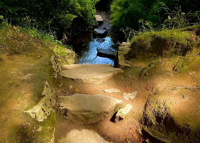 Murphys Thatched * Mitchelstown