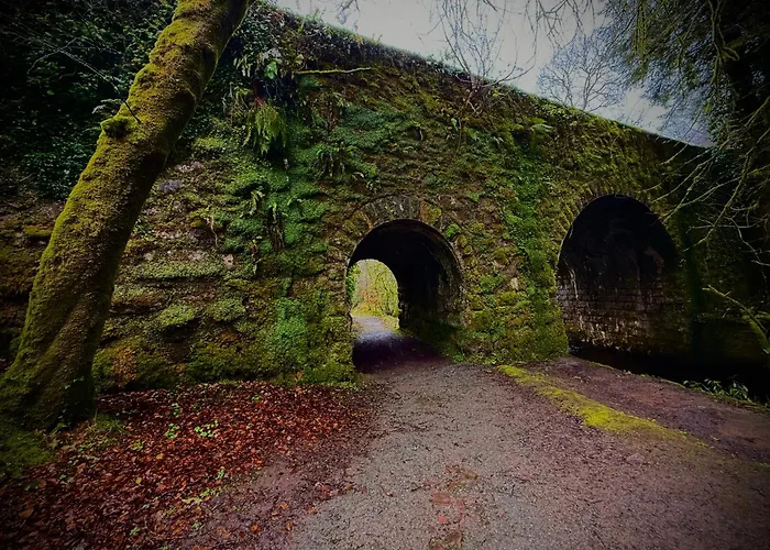 Murphys Thatched Tatil Evi Mitchelstown