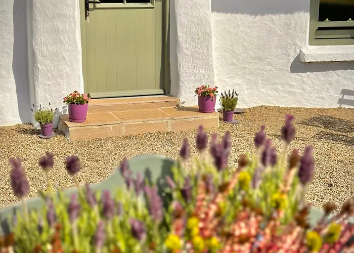 Murphys Thatched Tatil Evi