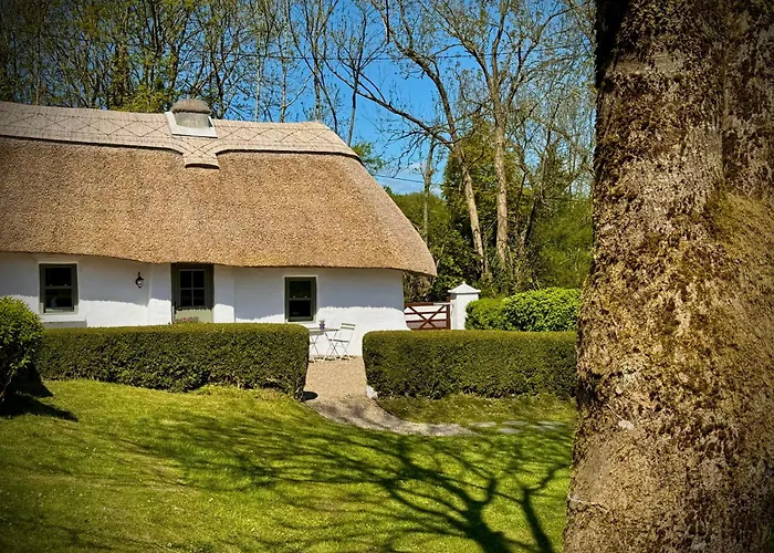 Tatil Evi Murphys Thatched *