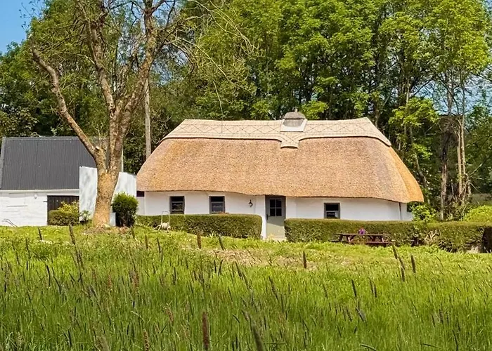 Murphys Thatched * Mitchelstown