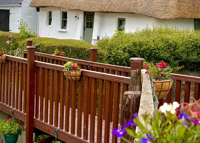 Murphys Thatched Mitchelstown