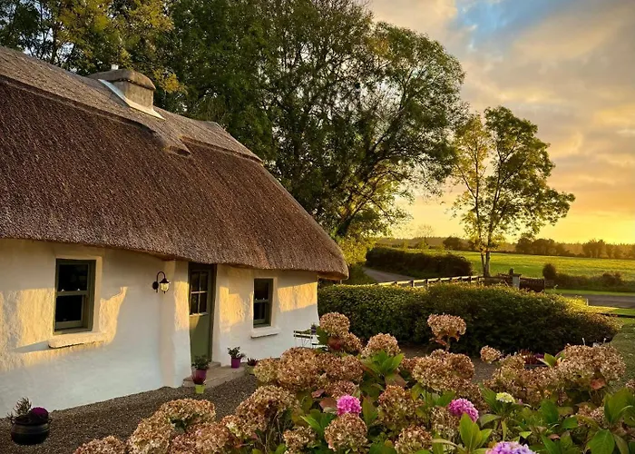 Murphys Thatched Mitchelstown